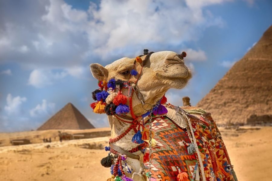Cairo – Trip full day by bus